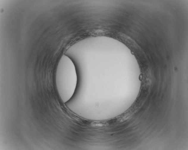 X0000066080706200603171030