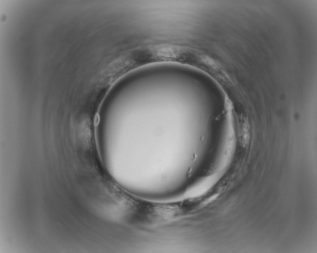 X0000066080707200603171030