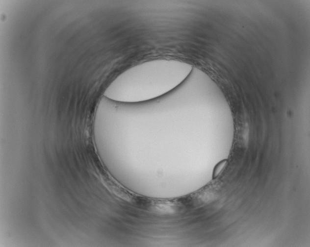 X0000066080710200603171030