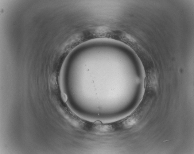 X0000066080711200603171030