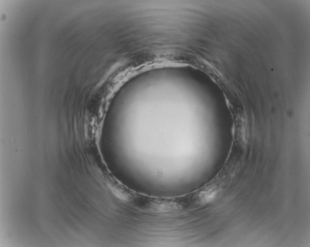 X0000066080712200603171030