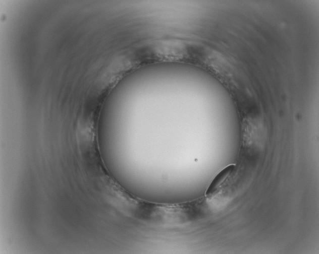 X0000066080713200603171030