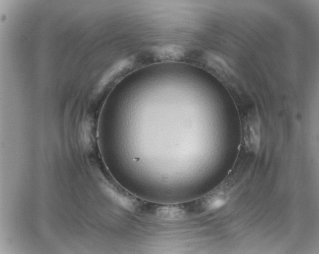 X0000066080714200603171030