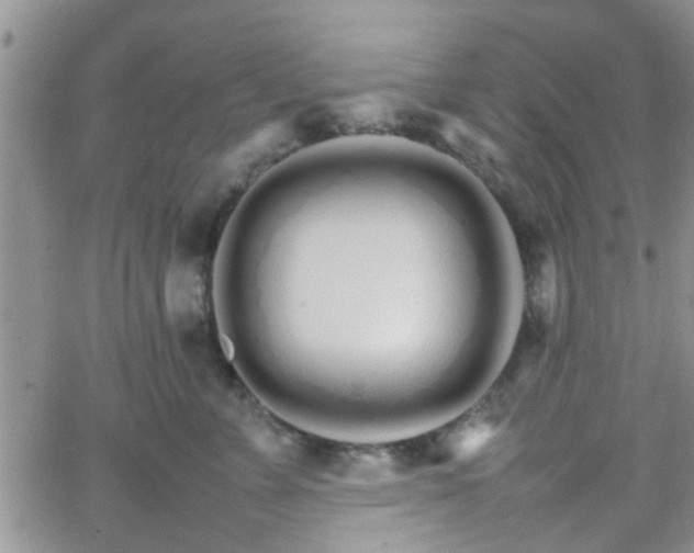 X0000066080715200603171030