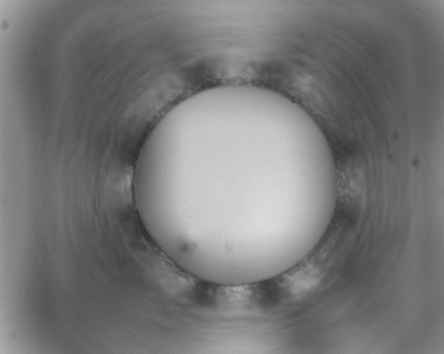 X0000066080717200603171030