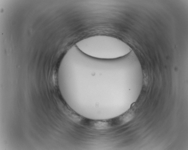 X0000066080718200603171030