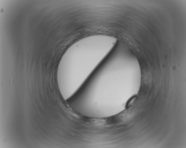 X0000066080719200603171030