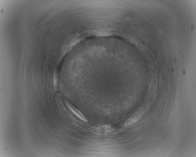 X0000066080720200603171030