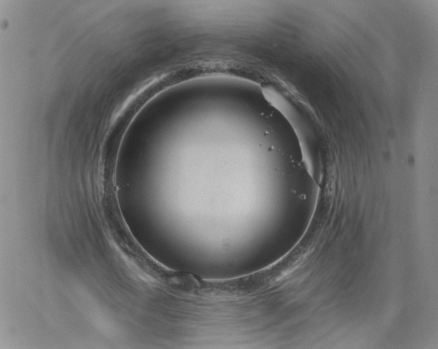 X0000066080722200603171029