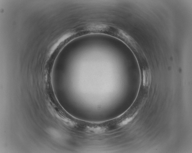 X0000066080723200603171029