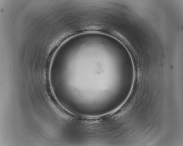 X0000066080725200603171030