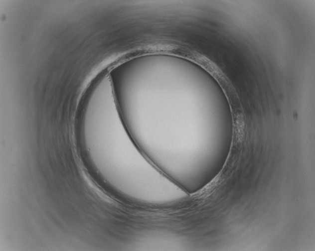 X0000066080726200603171030