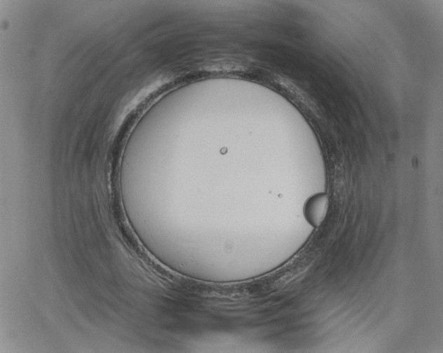 X0000066080727200603171030