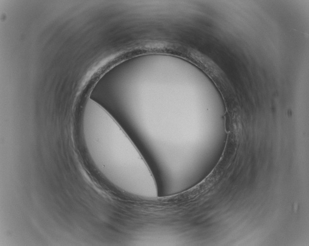 X0000066080728200603171030