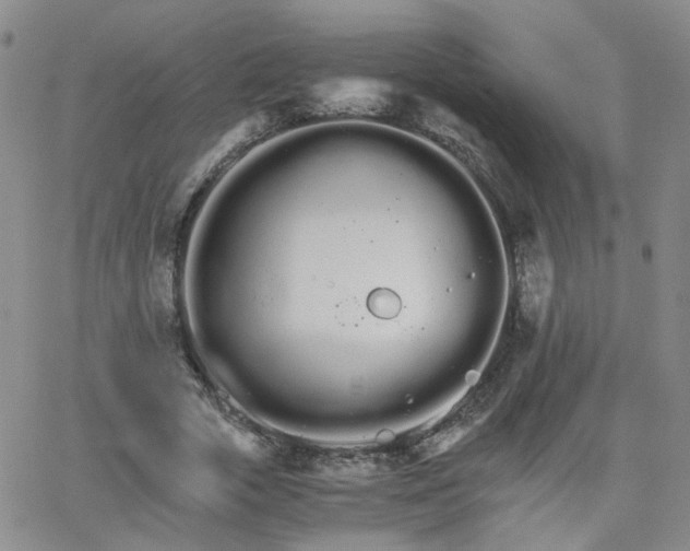 X0000066080729200603171030