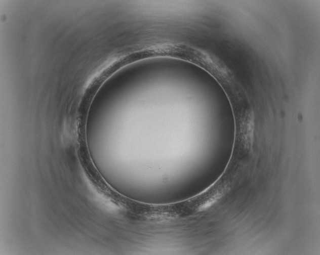 X0000066080730200603171030