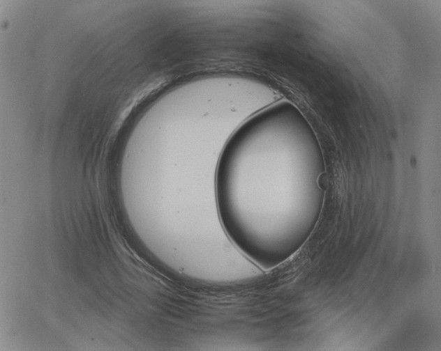 X0000066080731200603171030