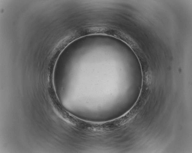 X0000066080733200603171030