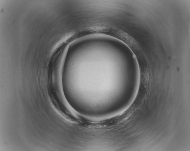 X0000066080734200603171030