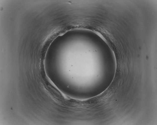 X0000066080735200603171030