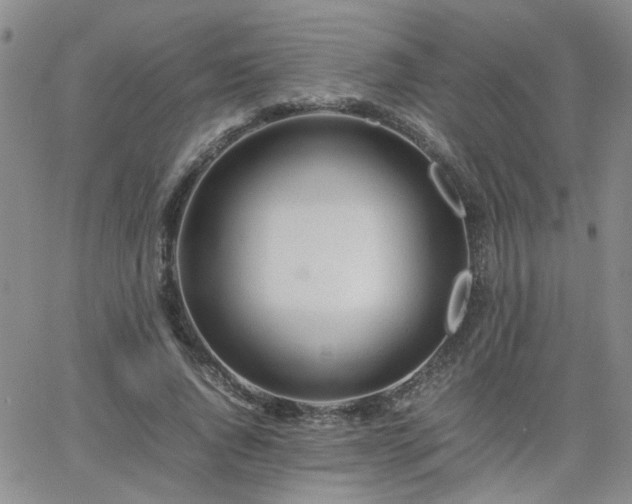 X0000066080736200603171030