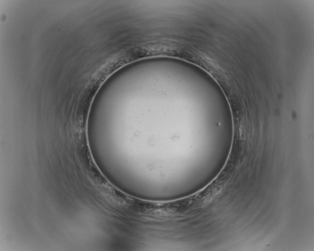 X0000066080737200603171030