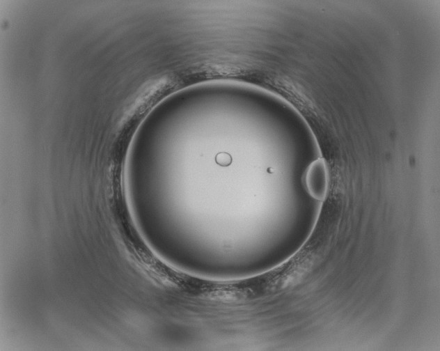 X0000066080738200603171030