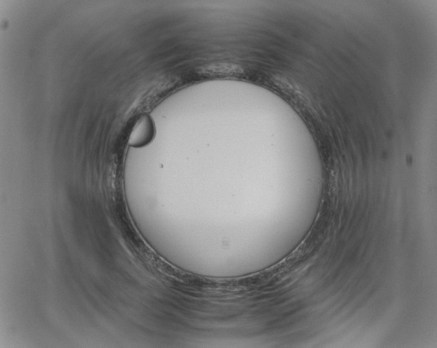 X0000066080739200603171030