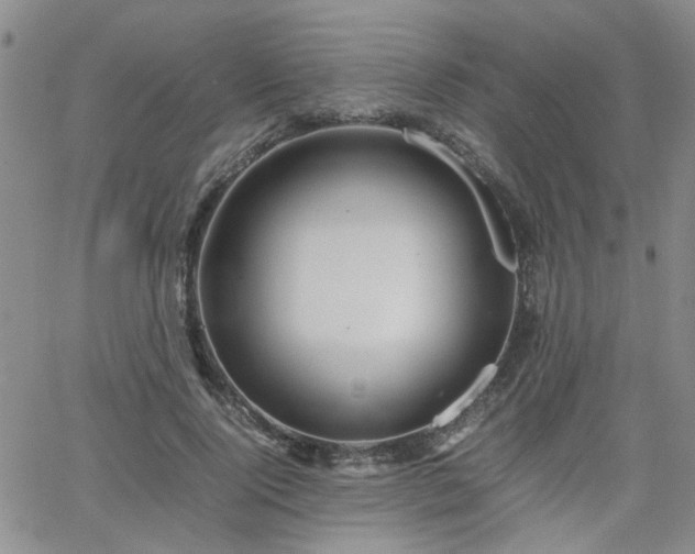 X0000066080740200603171030