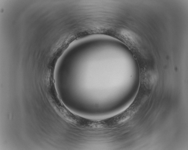 X0000066080742200603171030