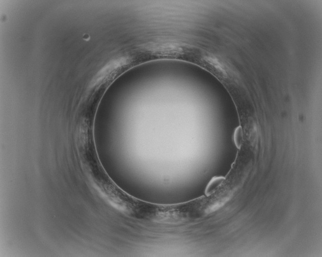 X0000066080744200603171030