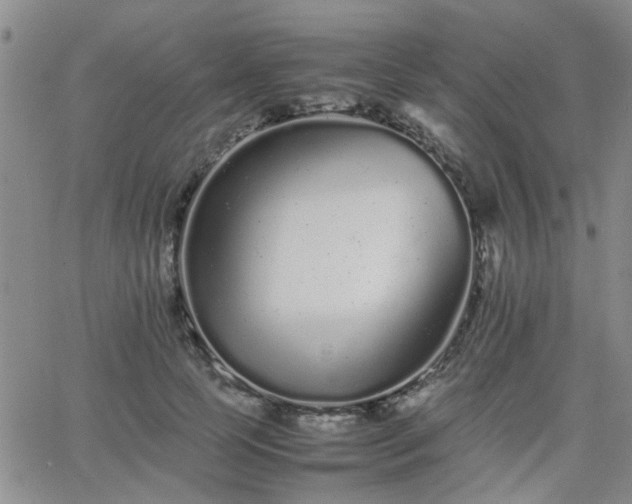 X0000066080745200603171030