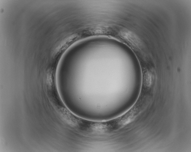 X0000066080746200603171030