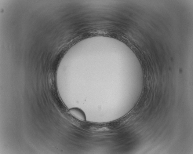 X0000066080747200603171030