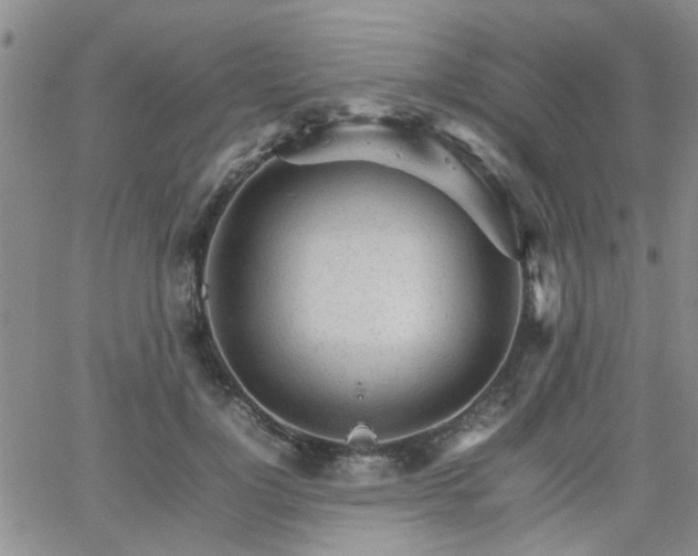 X0000066080748200603171030