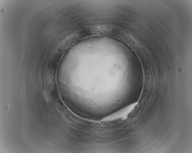 X0000066080749200603171030