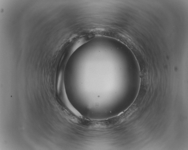 X0000066080750200603171030