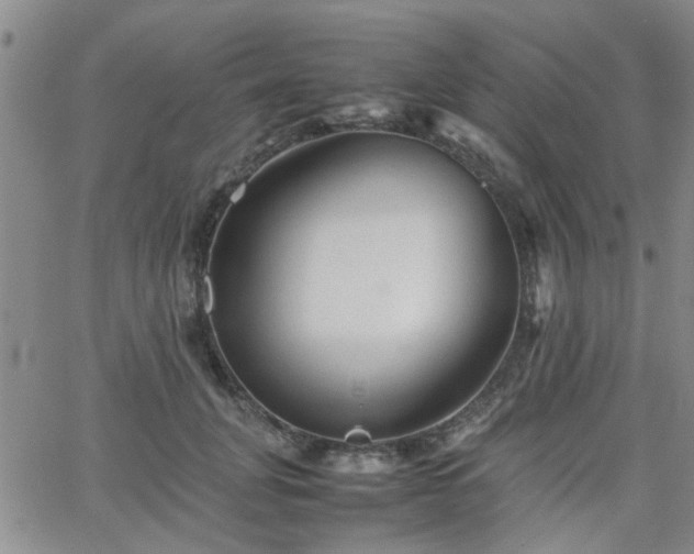 X0000066080751200603171030