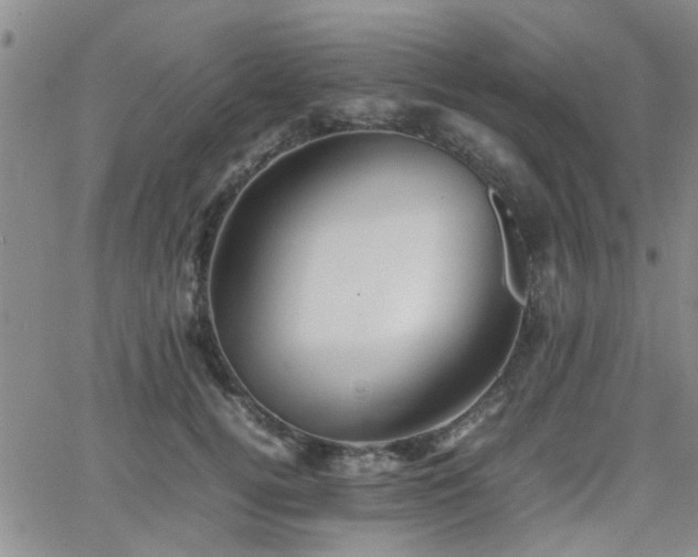 X0000066080752200603171030