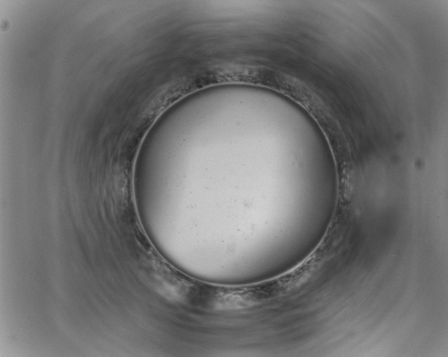 X0000066080753200603171030