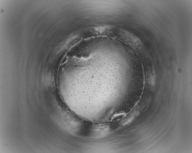 X0000066080754200603171030