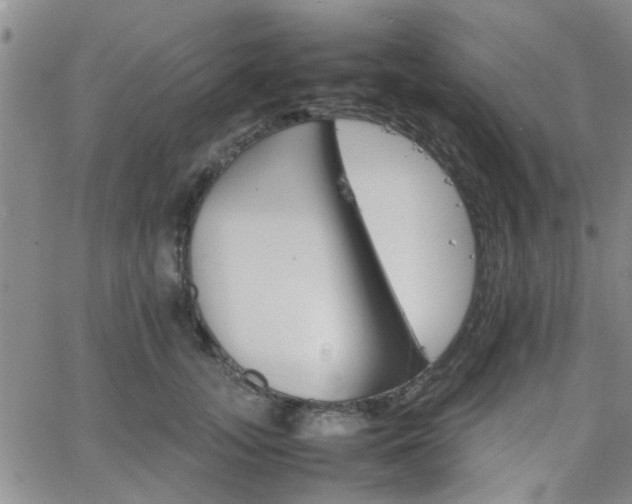 X0000066080755200603171030