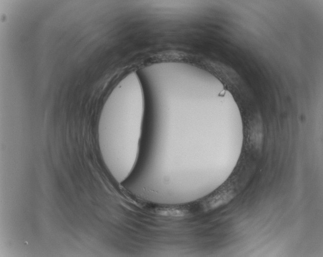 X0000066080759200603171030