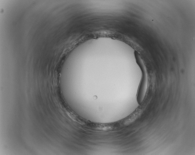 X0000066080760200603171030