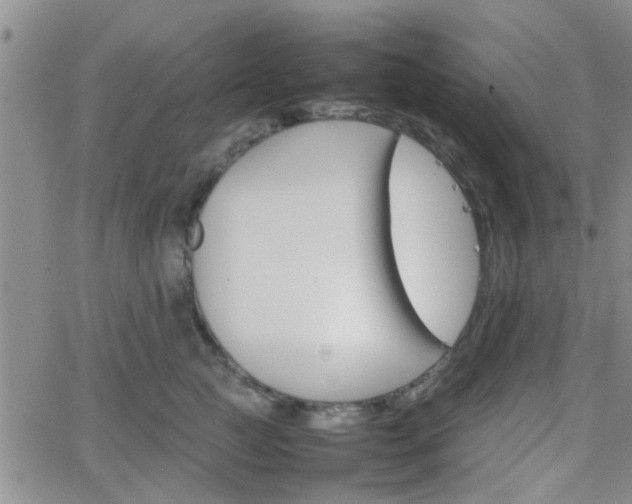 X0000066080761200603171030