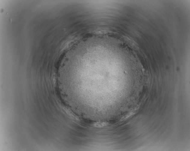 X0000066080762200603171030