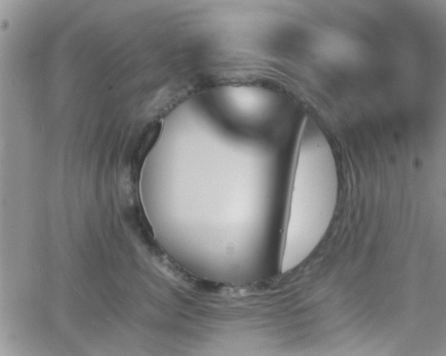 X0000066080764200603171030