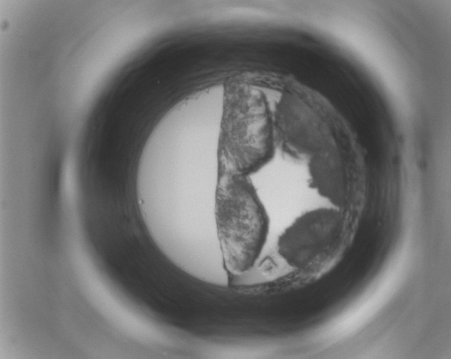 X0000066080765200603171030