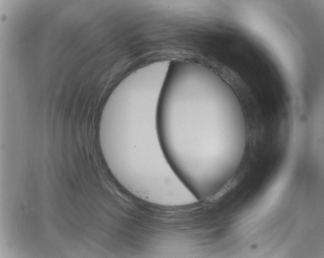 X0000066080766200603171030