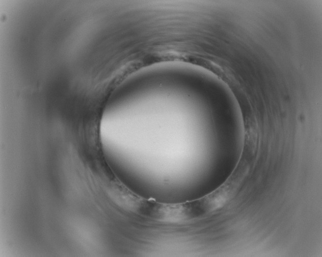 X0000066080767200603171030